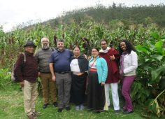 Dialogo intercultural