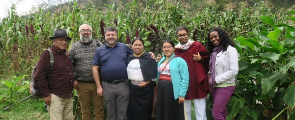 Dialogo intercultural