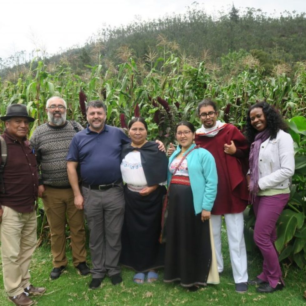 Dialogo intercultural